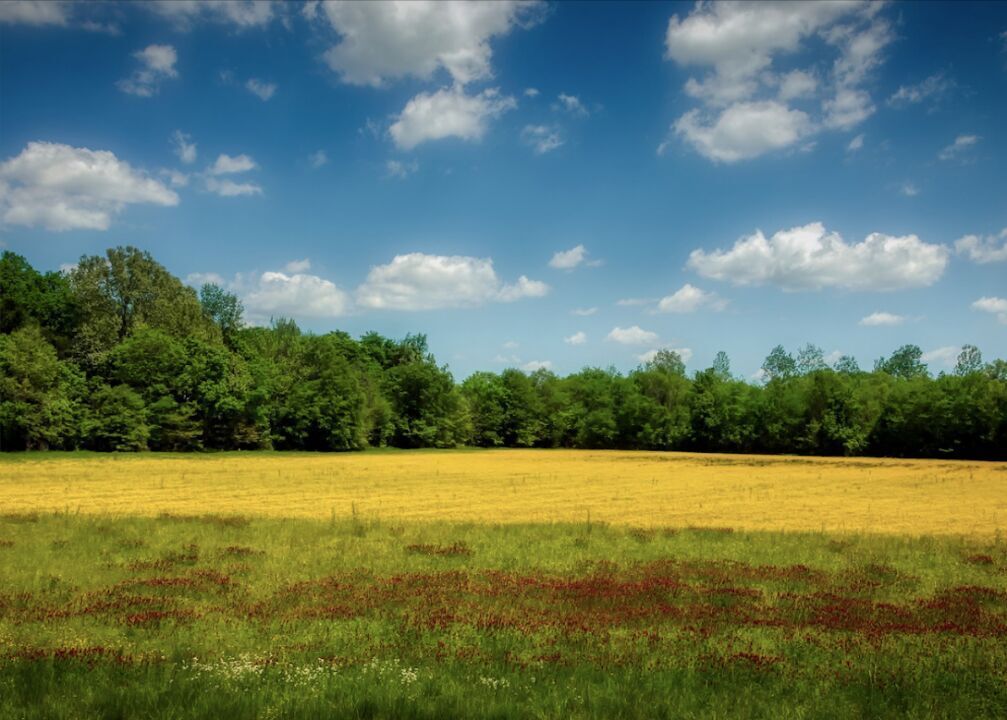 #30. Mississippi